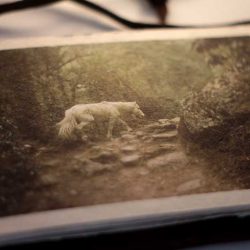 lungta-book-06