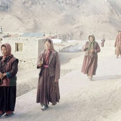 photo on the top of the world ladakh india