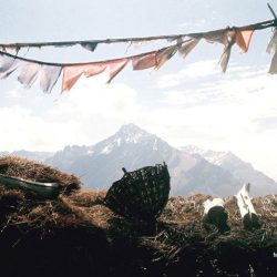 photo on the top of the world ladakh india