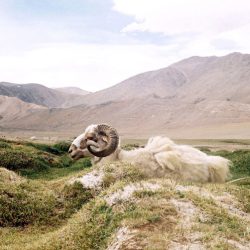 photo on the top of the world ladakh india