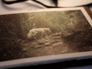 Vidas en la Ruta post card 02