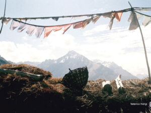 photo on the top of the world ladakh india