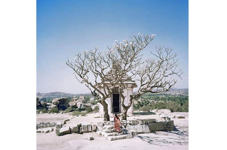 homepage federico frangi raices y nubes